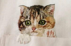 Kubota robi koszulki z kotami