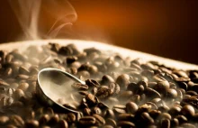 Kawa palona na miejscu i palarnie kaw dla prawdziwych koneserów