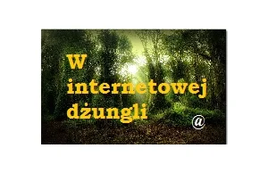 Wykop to? Nie, dziękuję! ~ Jak przetrwać w internetowej dżungli?