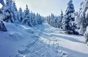 Małopolska. Nadchodzi zima stulecia?