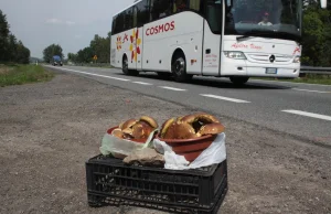 Urwane z ciężarówki koło zabiło grzybiarza sprzedającego grzyby przy drodze