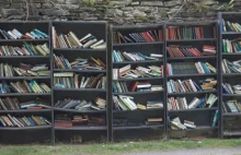 Rynek książki w Polsce: czy stała cena nowości uratuje czytelnictwo?