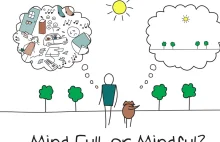 Jak żyć? - czyli o teorii mindfulness słów kilka.