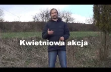 Kwietniowa akcja - Alex Berdowicz