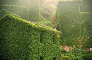 Abandoned Chinese Fishing Village Being Swallowed By Nature