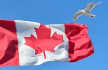 Kanada wprowadza trzecią płeć do paszportów
