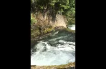 Skok do rzeki