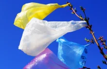 Estonia zabroni w sklepach toreb plastikowych
