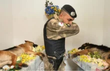 Zdjęcie z ceremonii kremacji dwóch psich bohaterów.