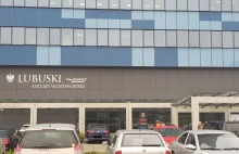 ASF w Lubuskiem: sztab kryzysowy ustalił plan walki z wirusem