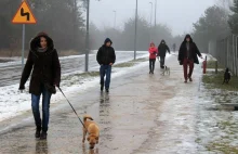 Świetna akcja schroniska dla zwierząt w Puławach