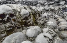 Feeding the gods: Hundreds of skulls reveal massive scale of human...