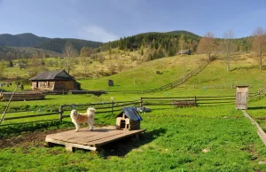 AMA: Tygodniowy pobyt w ukraińskich Gorganach