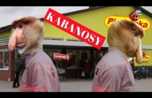 JANUSZ - KABANOSY | Tamagotchi PARODIA | Niedziela bez handlu