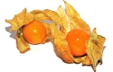 Physalis i Mangostan - ciekawe owoce warte spróbowania