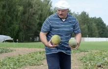 W Polsce debata, a Łukaszenka... promuje ekologiczne rolnictwo