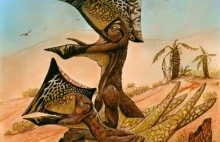 Przedziwny pterozaur z żaglem na czaszce