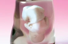 Płód z drukarki 3D, czyli japońska metoda na upamiętnienie ciąży