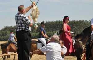 Dziwna polska tradycja - Zrywanie Kaczora