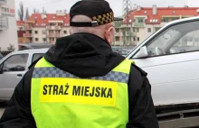 W Szczecinie także domgają się likwidacji straży miejskiej