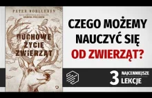 Czego możemy nauczyć się od zwierząt? -