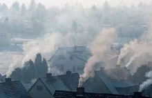Smog niszczy nie tylko płuca. Kolejne dowody na wpływ smogu na działanie mózgu