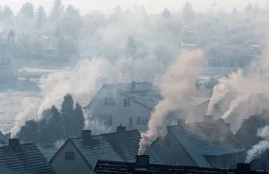 Smog niszczy nie tylko płuca. Kolejne dowody na wpływ smogu na działanie mózgu