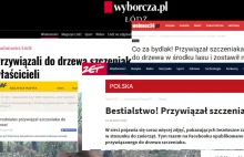 Nagroda „Superbohaterki” dla kobiety, która przywiązała szczeniaka do drzewa