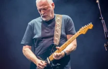 David Gilmour wystąpi w Polsce z Preisnerem i Możdżerem