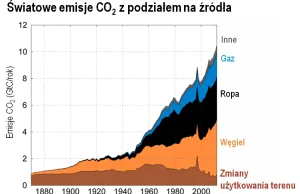 Czy sadzenie drzew może spowolnić ocieplenie?