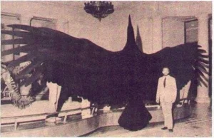 Argentavis magnificens: Największy ptak jaki kiedykolwiek istniał