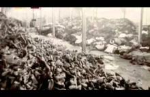 Sonderkommando - Żywe trupy z Auschwitz (film dokumentalny)