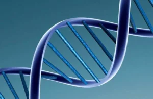 Rozwiązano zagadkę organizacji DNA w komórkach - Dziennik Naukowy
