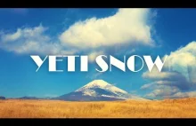 YETI SNOWTOWN