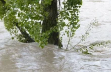 Potrzebna pomoc dla polskich powodzian z Kazachstanu