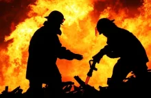 Polak wywołał wielki pożar w Czarnogórze? Spłonęło ok. 300 drzew