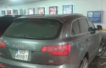 Audi może więcej?