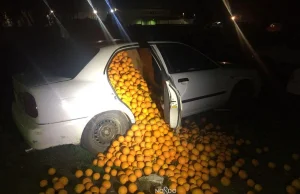Policja zatrzymała trzy auta wypełnione po brzegi… kradzionymi pomarańczami