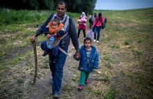 65 mln zł z UE na przyjazd i pobyt 2 tys. uchodźców w Polsce