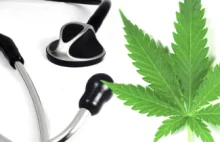 Olej RSO/THC | Medyczna marihuana – serwis edukacyjno informacyjny
