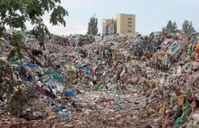 W 2018 roku z zagranicy trafiło do Polski prawie pół miliona ton odpadów