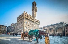 We Florencji powróci akcja polewania wodą, by zniechęcić turystów do...