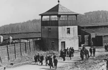 Fuhrer Angela zaprasza imigrantów do KL Buchenwald (Angielski)