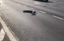 Tragiczny wypadek na głównej ulicy miasta samochód vs. hulajnoga