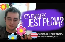 Czy kwiatek jest płcią? Czym są Xenogender i Synestezja?