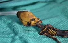 Naukowcy rozwiązali zagadkę szkieletu kosmity z pustyni Atakama