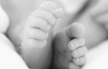 Ciało niemowlęcia znalezione w dziecięcym wózku. Rodzice od urodzenia nie...