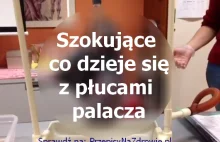 ALE SYF. Szokujące co dzieje się z płucami palącego papierosy.