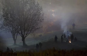 Bułgarska policja do myśliwych: Nie pomylcie dzikiego zwierzęcia z imigrantem.