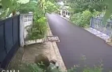 Kobieta zostaje przeciągnięta po ulicy przez zlodziei na skuterze...